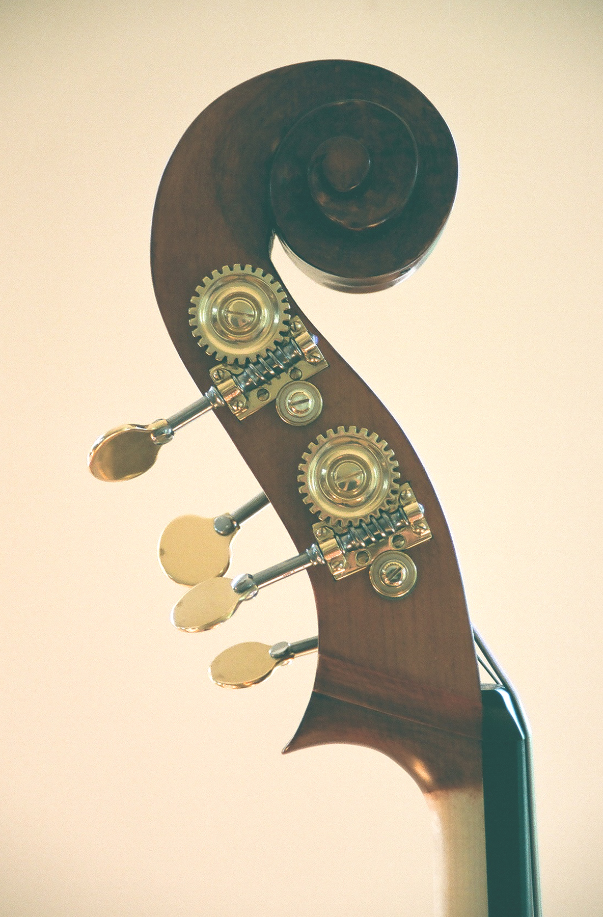 newbasshead.jpg